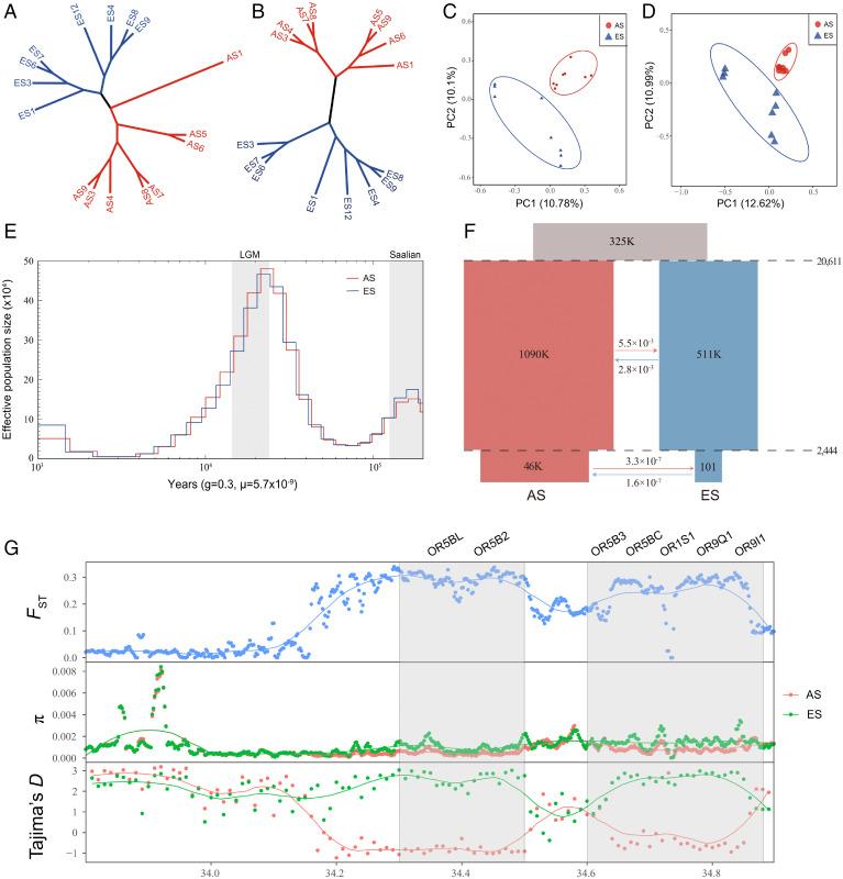 https://cdn.ncbi.nlm.nih.gov/pmc/blobs/c039/9060526/8e89070439bc/pnas.2121822119fig02.jpg