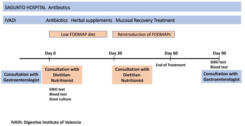 https://cdn.ncbi.nlm.nih.gov/pmc/blobs/c03b/11013329/1e0e16cd86f2/nutrients-16-01083-g001.jpg