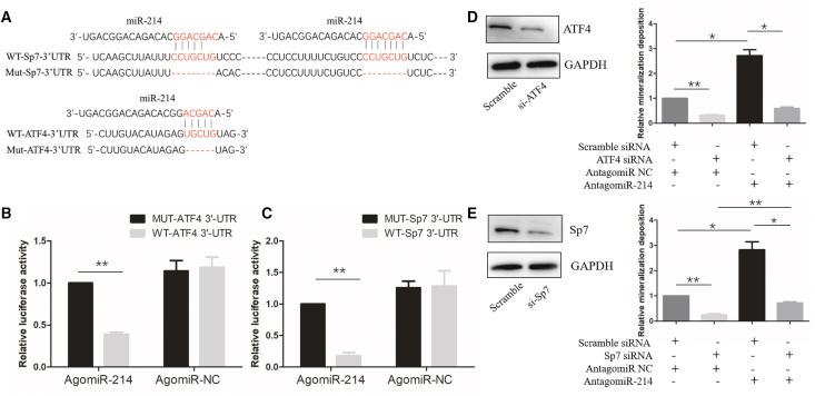 https://cdn.ncbi.nlm.nih.gov/pmc/blobs/c03b/7679242/90df79fe4ed9/gr4.jpg