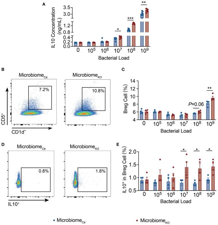 https://cdn.ncbi.nlm.nih.gov/pmc/blobs/c03e/11187306/ce55669529b7/fimmu-15-1413177-g005.jpg