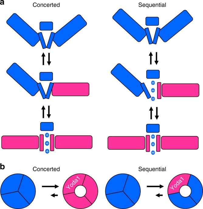 https://cdn.ncbi.nlm.nih.gov/pmc/blobs/c03e/5966384/099f291f88a1/41467_2018_4405_Fig9_HTML.jpg