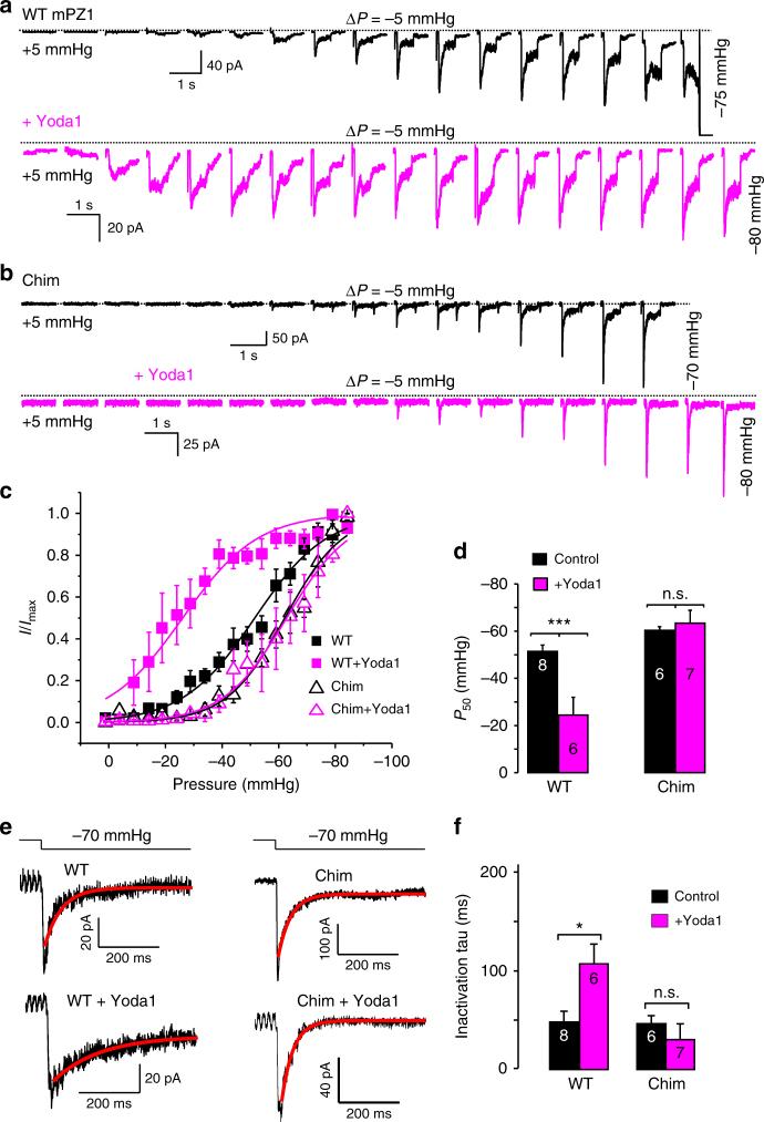 https://cdn.ncbi.nlm.nih.gov/pmc/blobs/c03e/5966384/1e38bc23de08/41467_2018_4405_Fig2_HTML.jpg