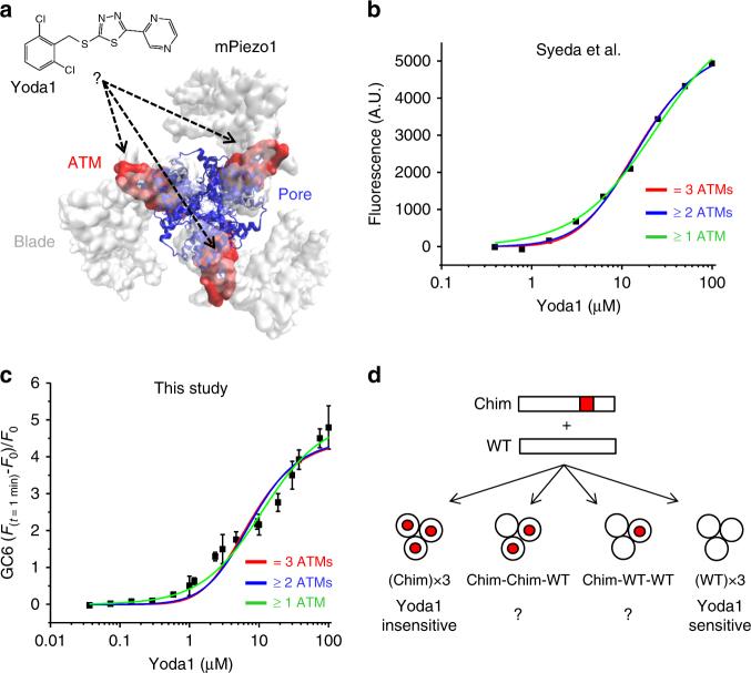 https://cdn.ncbi.nlm.nih.gov/pmc/blobs/c03e/5966384/d29ea0dda382/41467_2018_4405_Fig3_HTML.jpg