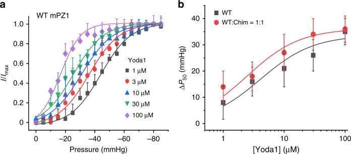 https://cdn.ncbi.nlm.nih.gov/pmc/blobs/c03e/5966384/e5da27d365ac/41467_2018_4405_Fig7_HTML.jpg