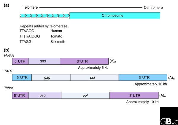 https://cdn.ncbi.nlm.nih.gov/pmc/blobs/c03f/1779526/a45387e239a8/gb-2006-7-5-220-1.jpg