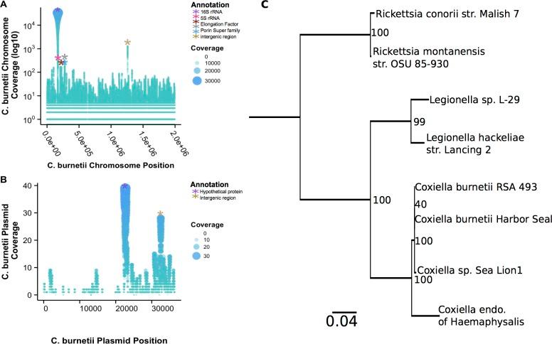 https://cdn.ncbi.nlm.nih.gov/pmc/blobs/c040/4668051/3831dde590df/pone.0143944.g006.jpg