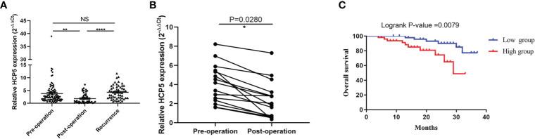https://cdn.ncbi.nlm.nih.gov/pmc/blobs/c040/8252797/939b0f09e9fd/fonc-11-684531-g005.jpg