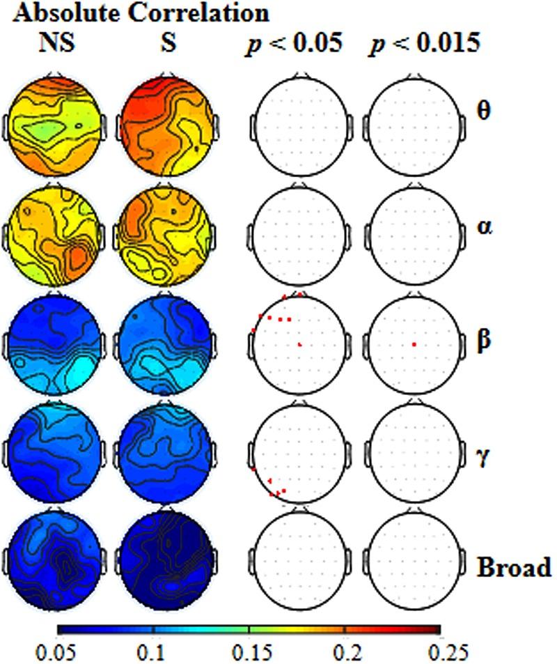 https://cdn.ncbi.nlm.nih.gov/pmc/blobs/c041/5300994/4dc11ce41da1/fnhum-11-00034-g003.jpg