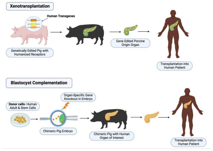 https://cdn.ncbi.nlm.nih.gov/pmc/blobs/c044/11854981/430ba797c059/genes-16-00215-g001.jpg
