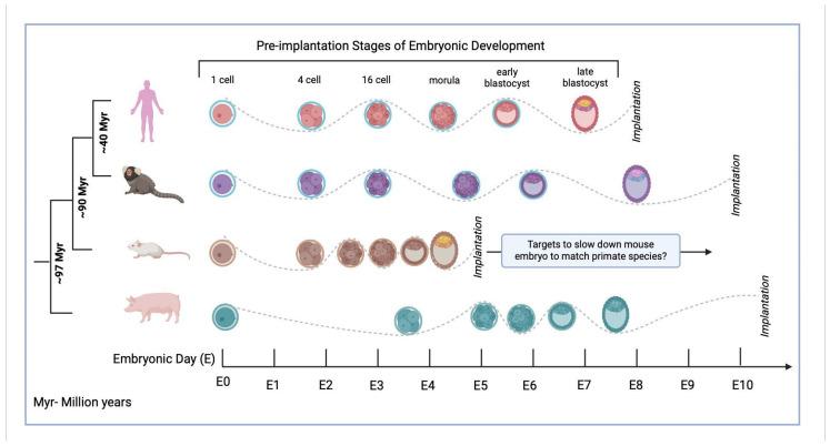 https://cdn.ncbi.nlm.nih.gov/pmc/blobs/c044/11854981/91a4d8ba76d9/genes-16-00215-g002.jpg