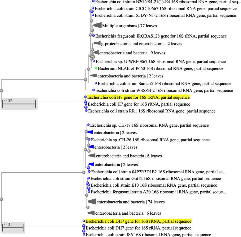 https://cdn.ncbi.nlm.nih.gov/pmc/blobs/c045/10176883/40e1328a1640/12866_2023_2873_Fig4_HTML.jpg