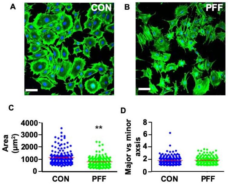 https://cdn.ncbi.nlm.nih.gov/pmc/blobs/c045/7664694/cc8b6156a4da/ijms-21-08361-g002.jpg