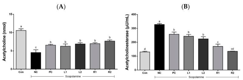 https://cdn.ncbi.nlm.nih.gov/pmc/blobs/c045/8400157/bf174b6db1df/nutrients-13-02890-g004.jpg