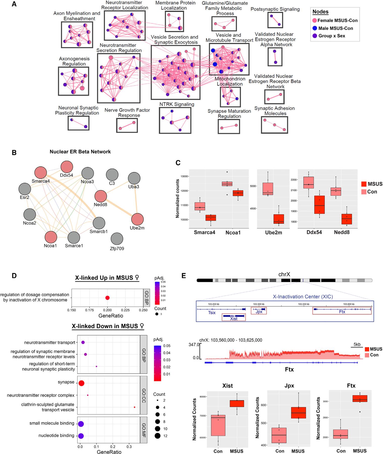 https://cdn.ncbi.nlm.nih.gov/pmc/blobs/c046/10753961/710097626e49/nihms-1936794-f0004.jpg