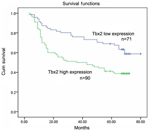 https://cdn.ncbi.nlm.nih.gov/pmc/blobs/c046/6307397/f93bc2023e05/etm-17-01-0723-g01.jpg