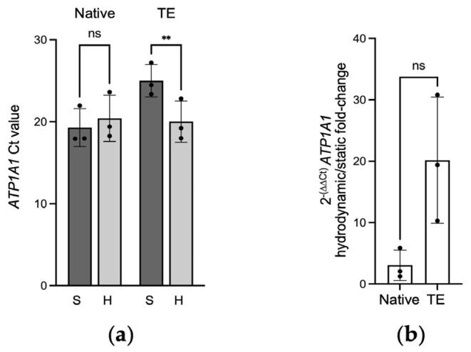 https://cdn.ncbi.nlm.nih.gov/pmc/blobs/c048/11432950/618a92d7fa60/ijms-25-10227-g001.jpg