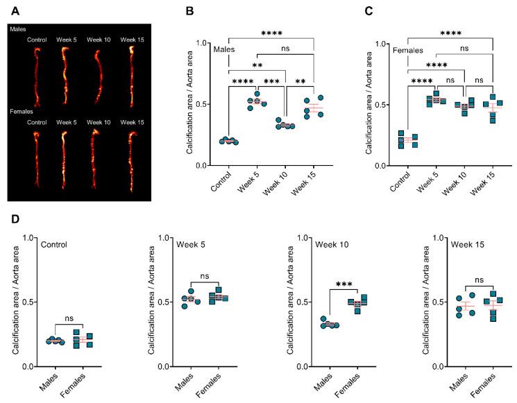 https://cdn.ncbi.nlm.nih.gov/pmc/blobs/c048/9225625/b524d2472c2c/jcdd-09-00168-g001.jpg