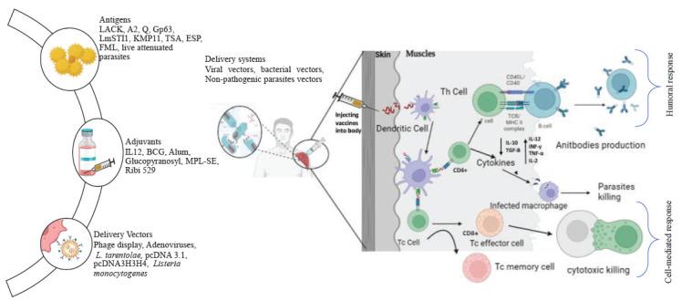 https://cdn.ncbi.nlm.nih.gov/pmc/blobs/c049/11619067/091aba9a5f53/IJMR-160-3-4-323-g1.jpg