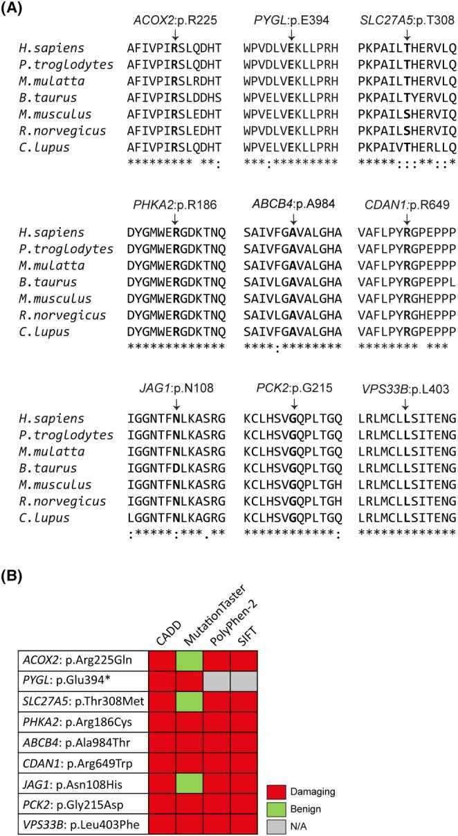 https://cdn.ncbi.nlm.nih.gov/pmc/blobs/c04a/11167704/3ef46b2feef9/JCMM-28-e18485-g001.jpg