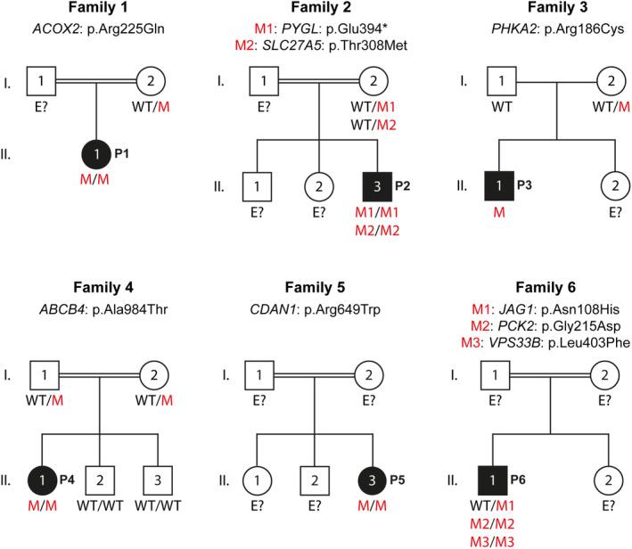 https://cdn.ncbi.nlm.nih.gov/pmc/blobs/c04a/11167704/abddfc799e0e/JCMM-28-e18485-g002.jpg