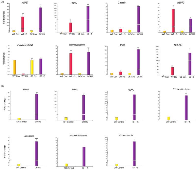 https://cdn.ncbi.nlm.nih.gov/pmc/blobs/c04e/8909738/29768bc6da4f/cells-11-00912-g011.jpg
