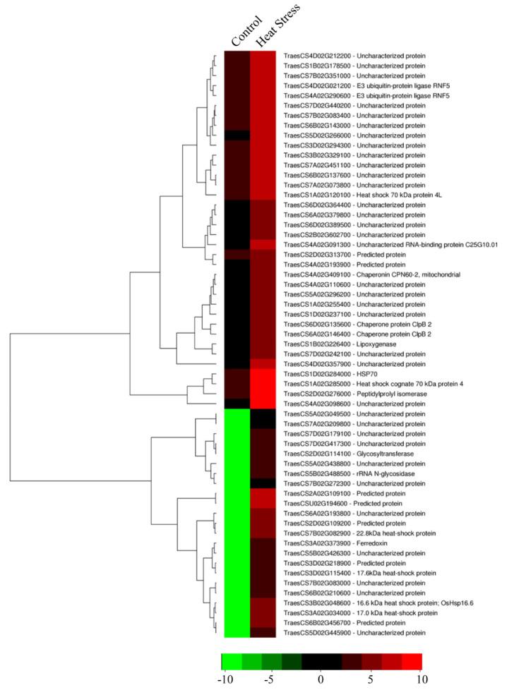 https://cdn.ncbi.nlm.nih.gov/pmc/blobs/c04e/8909738/5ccdd96bd5ab/cells-11-00912-g010.jpg