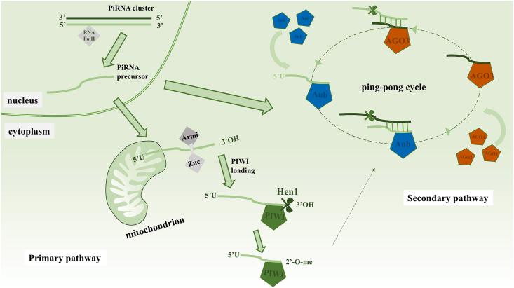 https://cdn.ncbi.nlm.nih.gov/pmc/blobs/c04f/12005926/2ad102797ca5/gr2.jpg