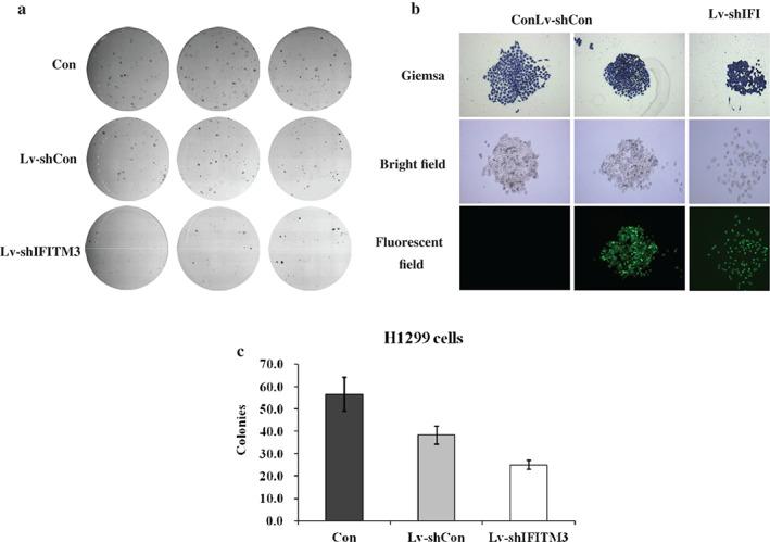 https://cdn.ncbi.nlm.nih.gov/pmc/blobs/c04f/5494463/c5b381e3ee49/TCA-8-337-g001.jpg