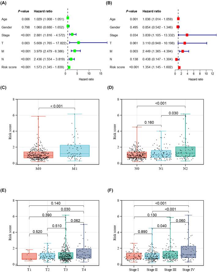https://cdn.ncbi.nlm.nih.gov/pmc/blobs/c050/11711054/ddcc8a8cc56f/CAS-116-233-g005.jpg