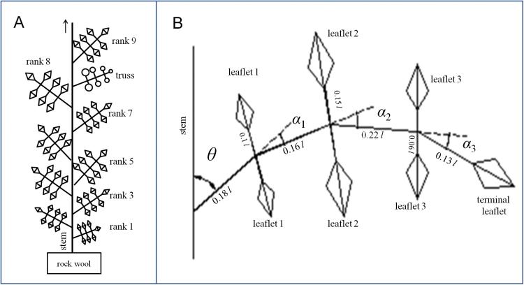 https://cdn.ncbi.nlm.nih.gov/pmc/blobs/c050/4246178/ef4fdbc45b15/exbotj_eru356_f0001.jpg
