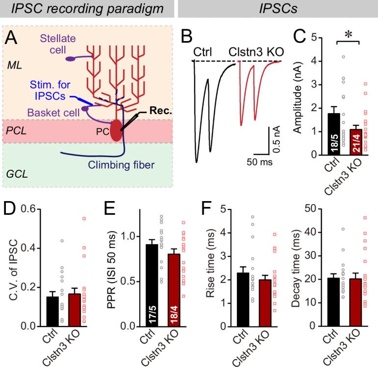 https://cdn.ncbi.nlm.nih.gov/pmc/blobs/c055/9064300/192bf7994332/elife-70664-fig6.jpg