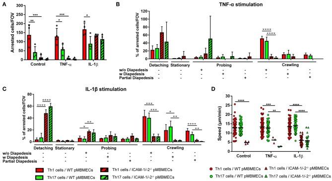 https://cdn.ncbi.nlm.nih.gov/pmc/blobs/c05a/6970977/25e6629c2d2d/fimmu-10-03056-g0004.jpg