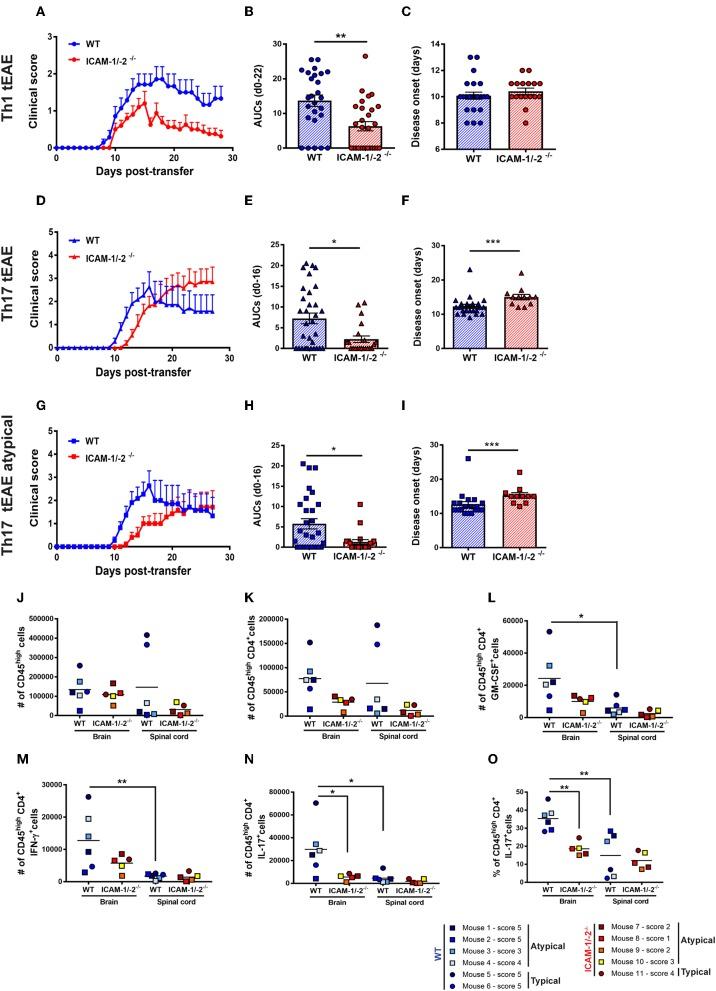 https://cdn.ncbi.nlm.nih.gov/pmc/blobs/c05a/6970977/566af1bbdcd2/fimmu-10-03056-g0006.jpg
