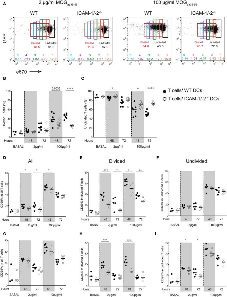 https://cdn.ncbi.nlm.nih.gov/pmc/blobs/c05a/6970977/d24168e414f0/fimmu-10-03056-g0002.jpg