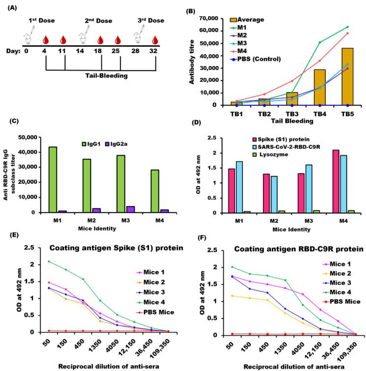 https://cdn.ncbi.nlm.nih.gov/pmc/blobs/c05a/8835783/3b5a4cf0efc9/ijms-23-01703-g004.jpg