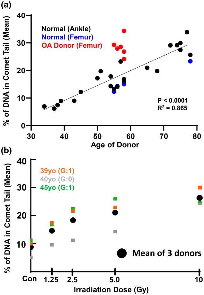 https://cdn.ncbi.nlm.nih.gov/pmc/blobs/c05a/9470893/c0ba8ee20bd1/ACEL-21-e13698-g001.jpg