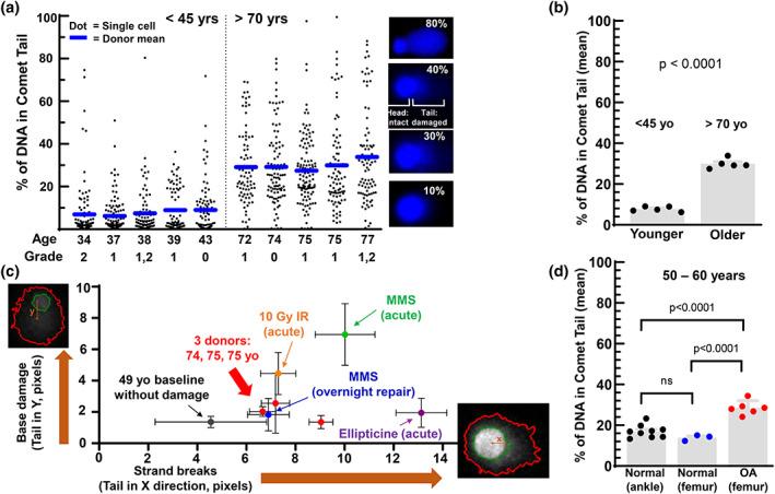 https://cdn.ncbi.nlm.nih.gov/pmc/blobs/c05a/9470893/f071cb18f798/ACEL-21-e13698-g003.jpg