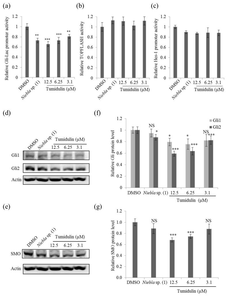 https://cdn.ncbi.nlm.nih.gov/pmc/blobs/c05c/6278574/6d41405043b0/molecules-23-02968-g005.jpg