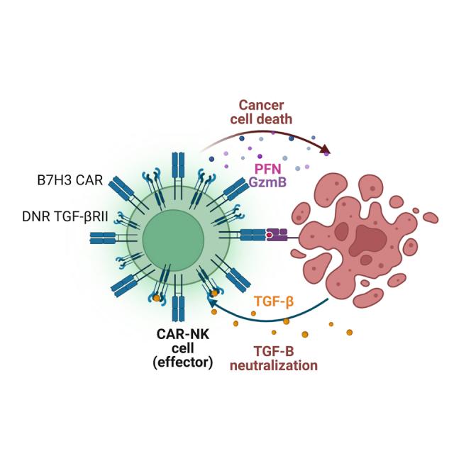 https://cdn.ncbi.nlm.nih.gov/pmc/blobs/c05c/9661497/640dda13901d/fx1.jpg