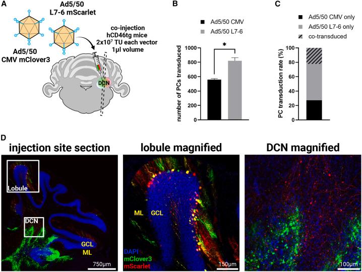 https://cdn.ncbi.nlm.nih.gov/pmc/blobs/c061/11007541/e608a95fb096/gr5.jpg