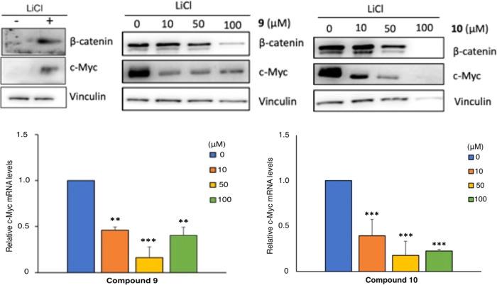 https://cdn.ncbi.nlm.nih.gov/pmc/blobs/c062/10353061/3ade8d5ae8da/pt3c00092_0008.jpg