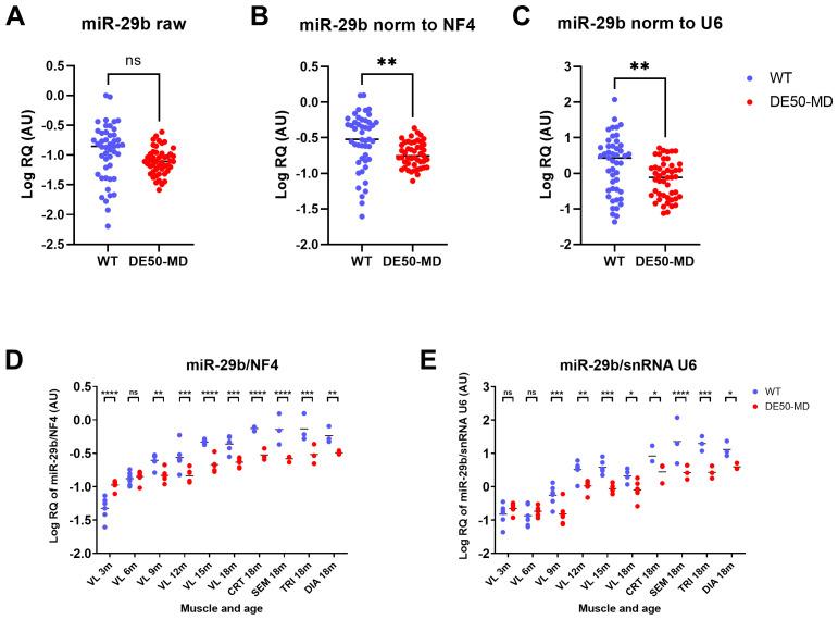 https://cdn.ncbi.nlm.nih.gov/pmc/blobs/c062/11621749/074eb7628110/wellcomeopenres-9-25798-g0008.jpg