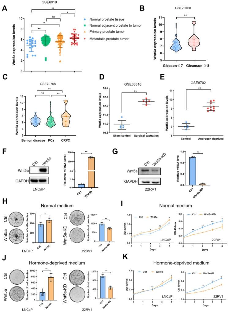 https://cdn.ncbi.nlm.nih.gov/pmc/blobs/c065/11921506/0350036c5a6c/12967_2025_6322_Fig1_HTML.jpg
