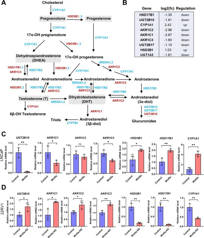 https://cdn.ncbi.nlm.nih.gov/pmc/blobs/c065/11921506/bfb53f11e996/12967_2025_6322_Fig4_HTML.jpg