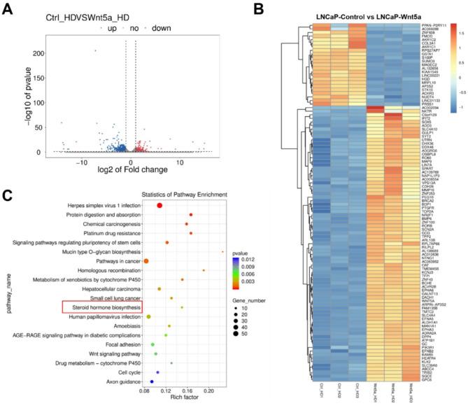 https://cdn.ncbi.nlm.nih.gov/pmc/blobs/c065/11921506/c8df183ec534/12967_2025_6322_Fig3_HTML.jpg