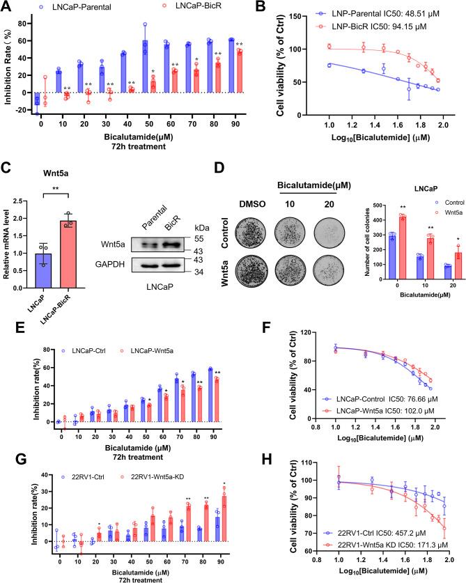 https://cdn.ncbi.nlm.nih.gov/pmc/blobs/c065/11921506/fd6a0277e453/12967_2025_6322_Fig2_HTML.jpg