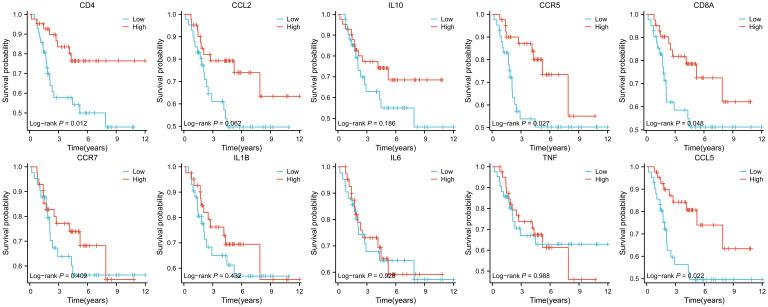 https://cdn.ncbi.nlm.nih.gov/pmc/blobs/c066/11625786/a04ec9f44ce2/fimmu-15-1423194-g007.jpg