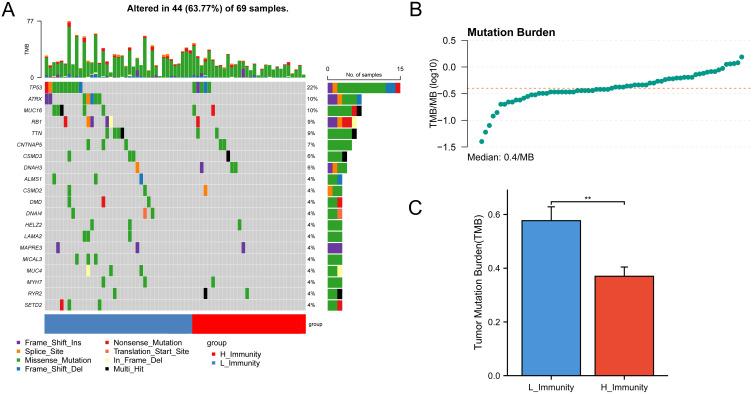 https://cdn.ncbi.nlm.nih.gov/pmc/blobs/c066/11625786/b35e074bd190/fimmu-15-1423194-g003.jpg