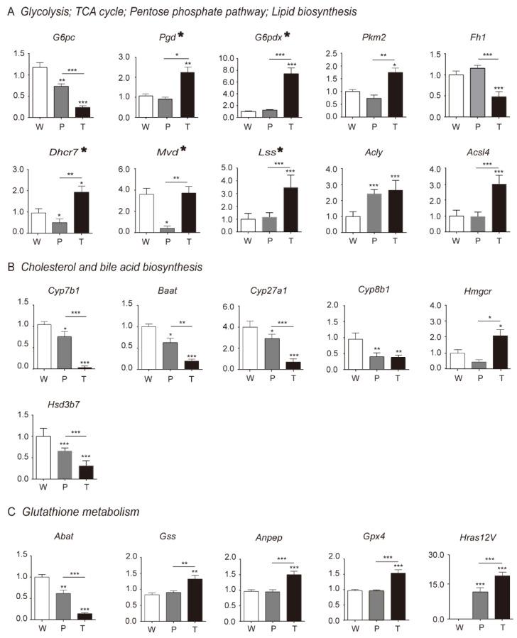 https://cdn.ncbi.nlm.nih.gov/pmc/blobs/c066/7281175/717f8826f55c/metabolites-10-00193-g004.jpg