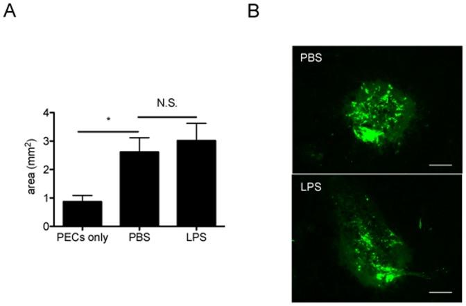 https://cdn.ncbi.nlm.nih.gov/pmc/blobs/c068/3869650/438ca68aa71d/pone.0080288.g006.jpg